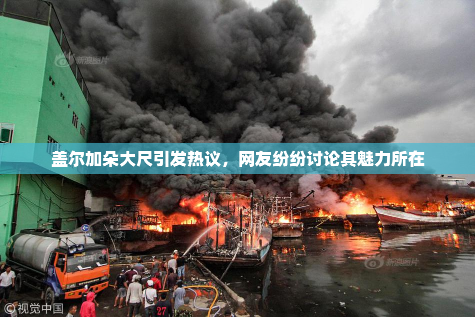 盖尔加朵大尺引发热议，网友纷纷讨论其魅力所在