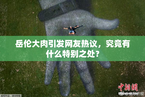 岳伦大肉引发网友热议，究竟有什么特别之处？