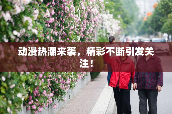 动漫热潮来袭，精彩不断引发关注！