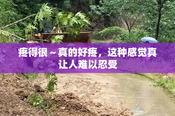 疼得很～真的好疼，这种感觉真让人难以忍受