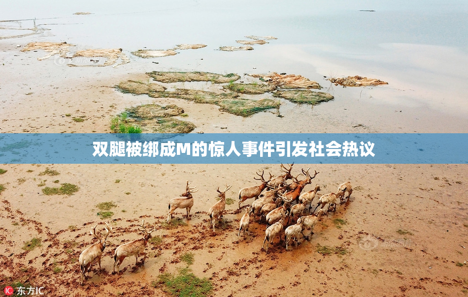 双腿被绑成M的惊人事件引发社会热议