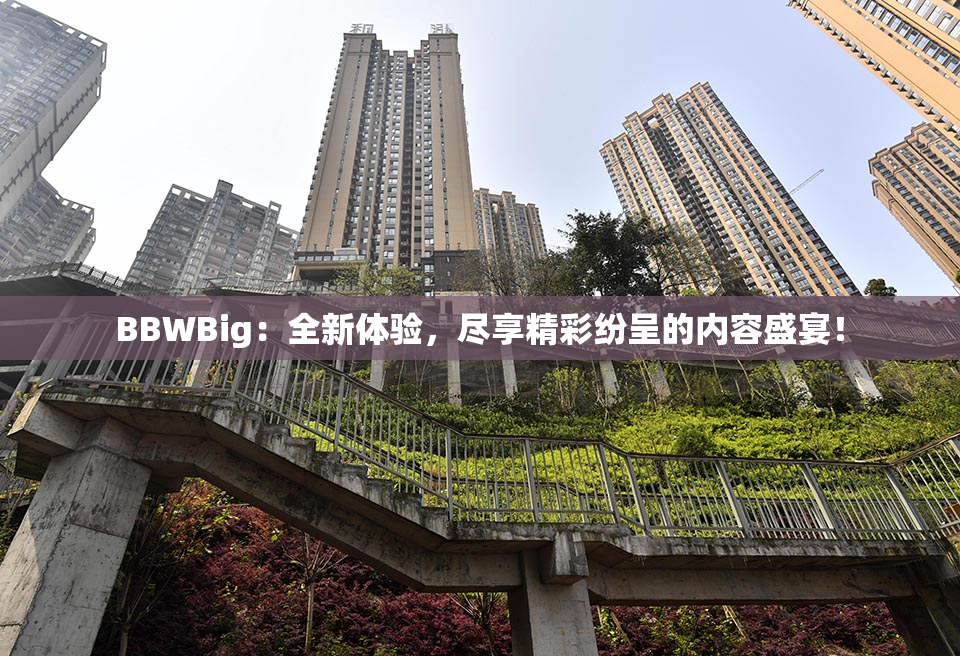 BBWBig：全新体验，尽享精彩纷呈的内容盛宴！