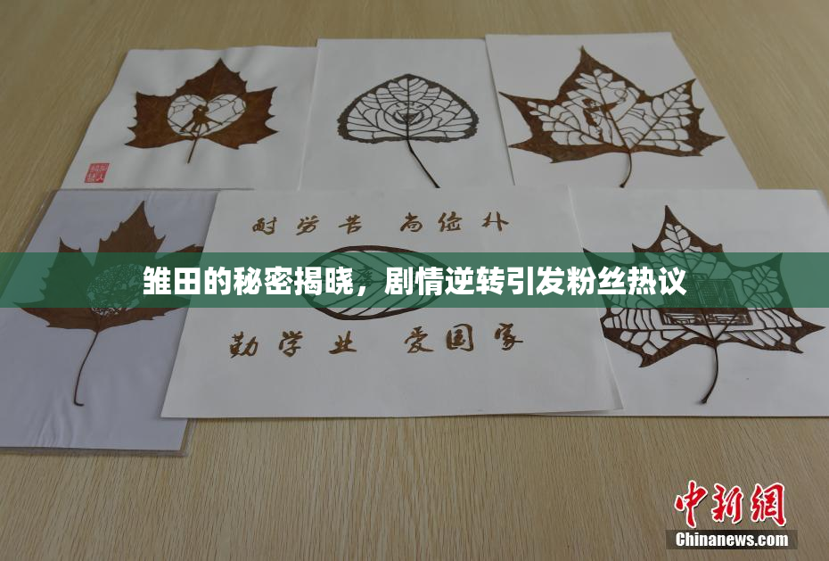 雏田的秘密揭晓，剧情逆转引发粉丝热议