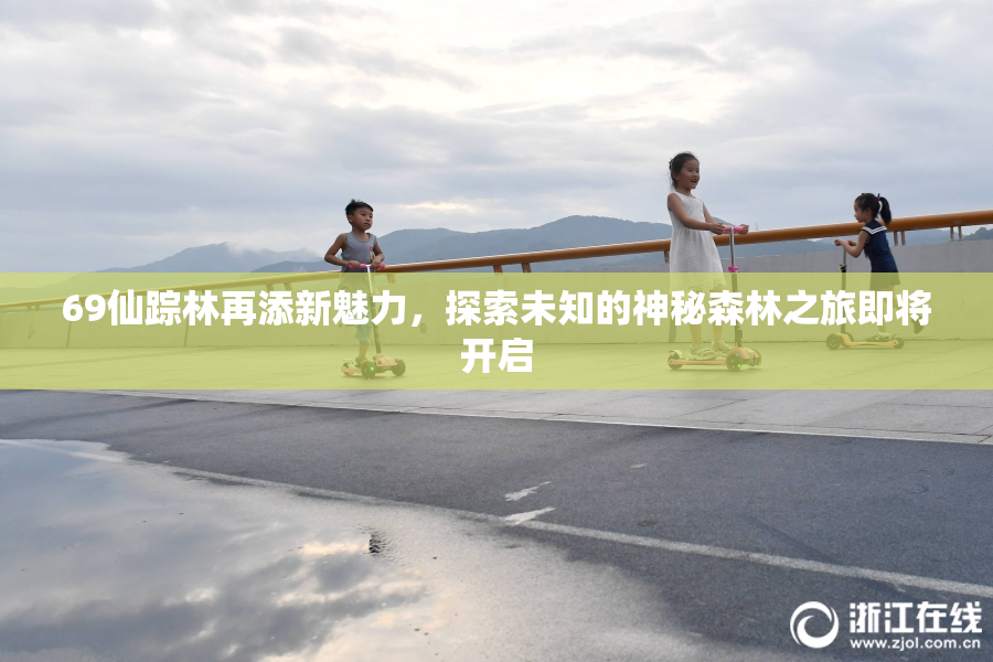 69仙踪林再添新魅力，探索未知的神秘森林之旅即将开启
