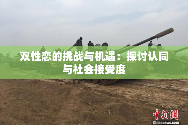双性恋的挑战与机遇：探讨认同与社会接受度