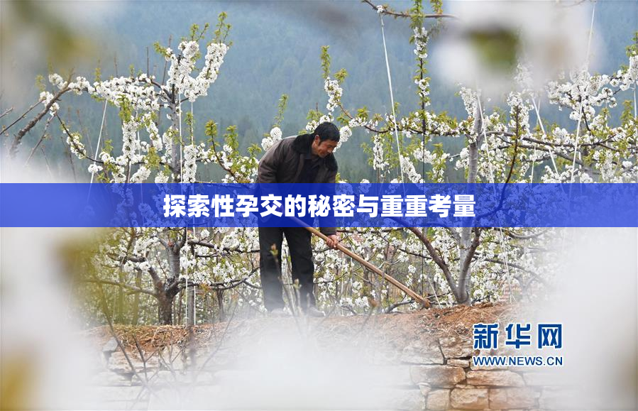 探索性孕交的秘密与重重考量