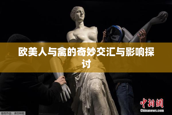 欧美人与禽的奇妙交汇与影响探讨