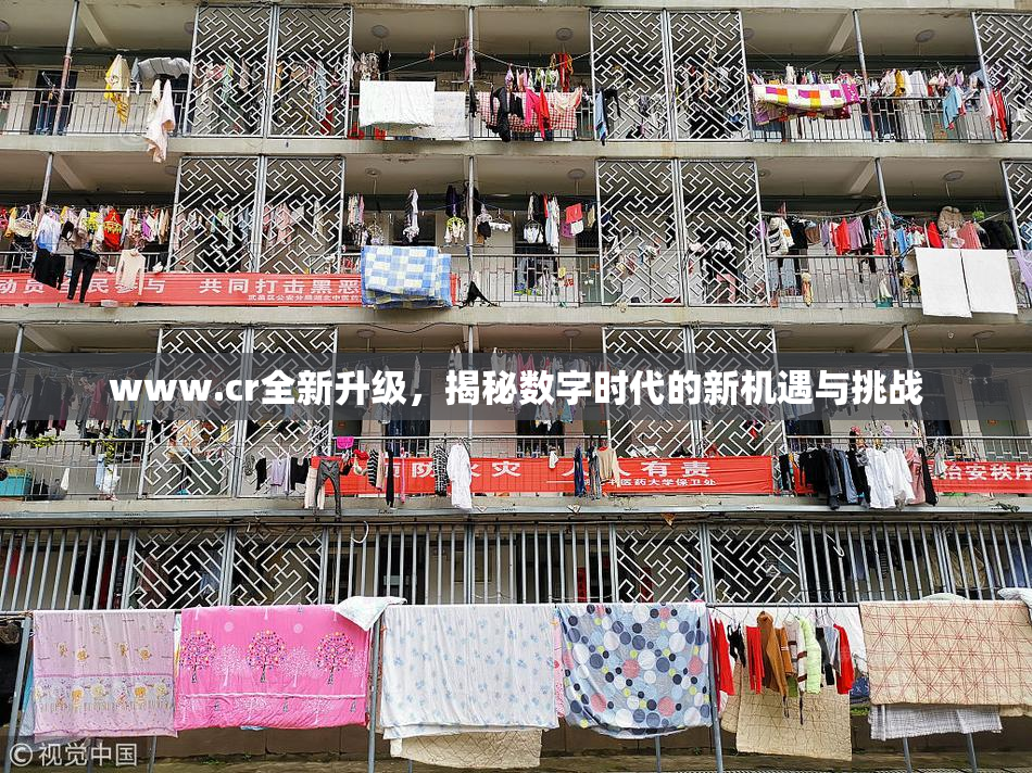 www.cr全新升级，揭秘数字时代的新机遇与挑战
