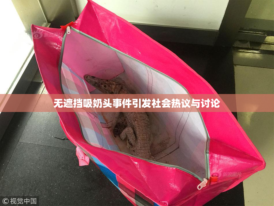 无遮挡吸奶头事件引发社会热议与讨论