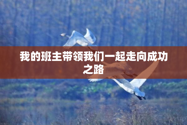 我的班主带领我们一起走向成功之路