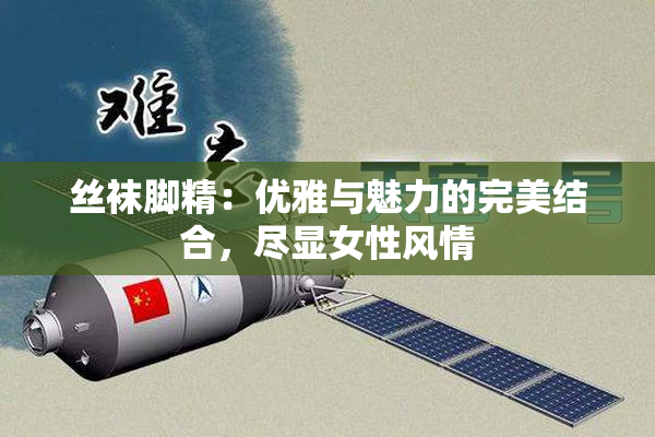 丝袜脚精：优雅与魅力的完美结合，尽显女性风情