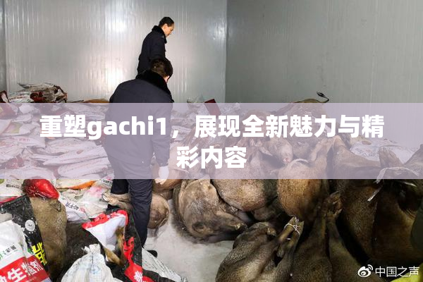 重塑gachi1，展现全新魅力与精彩内容