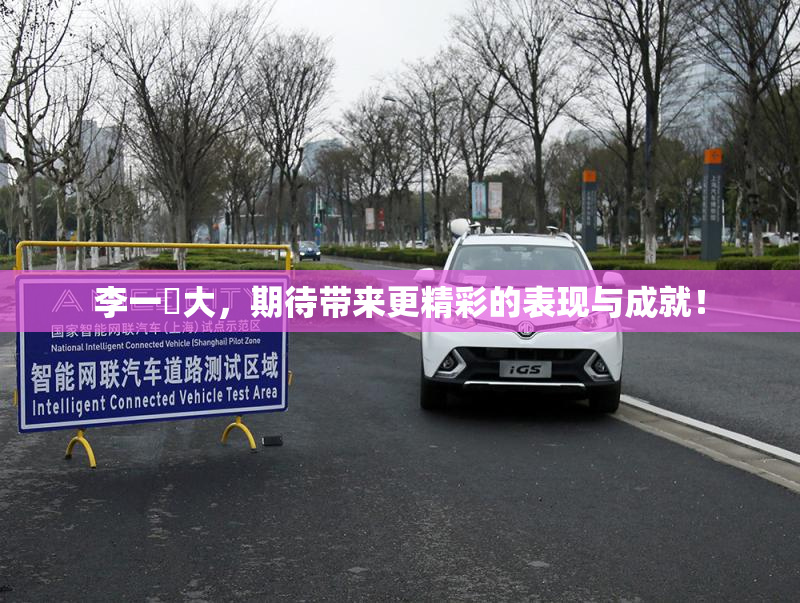 李一挏大，期待带来更精彩的表现与成就！