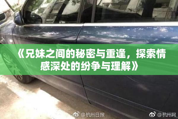 《兄妹之间的秘密与重逢，探索情感深处的纷争与理解》
