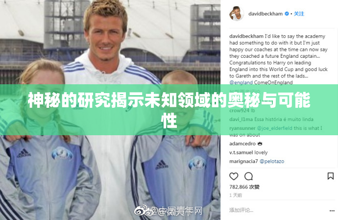 神秘的研究揭示未知领域的奥秘与可能性