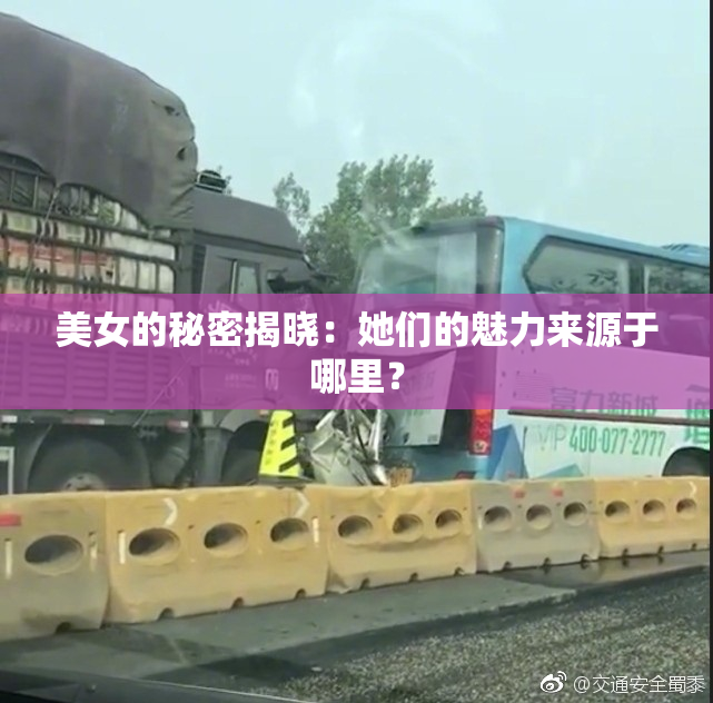 美女的秘密揭晓：她们的魅力来源于哪里？