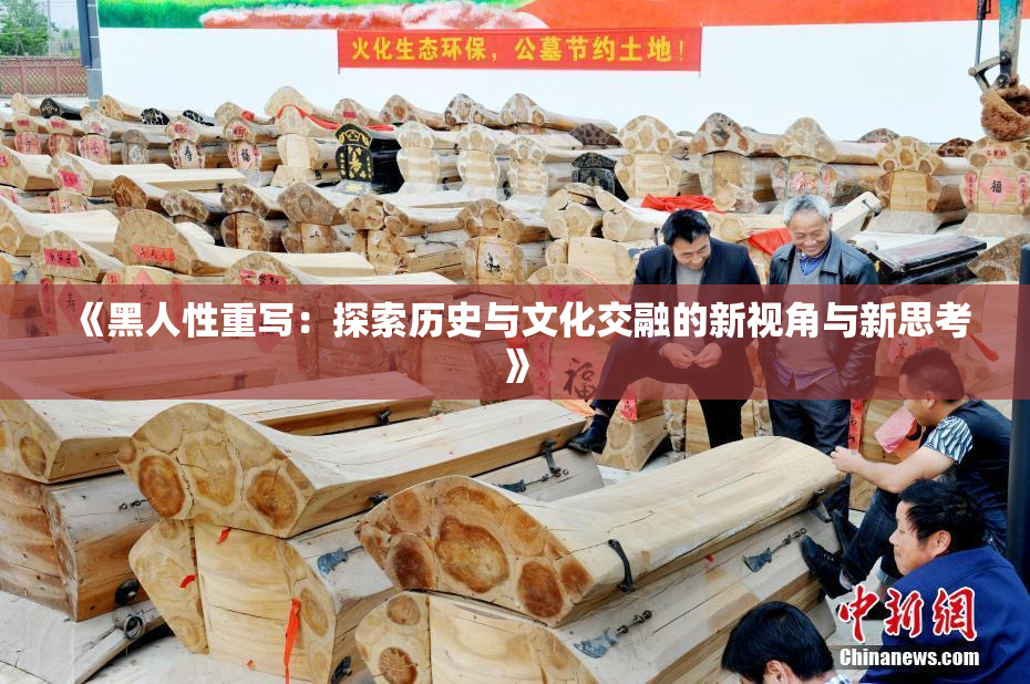 《黑人性重写：探索历史与文化交融的新视角与新思考》