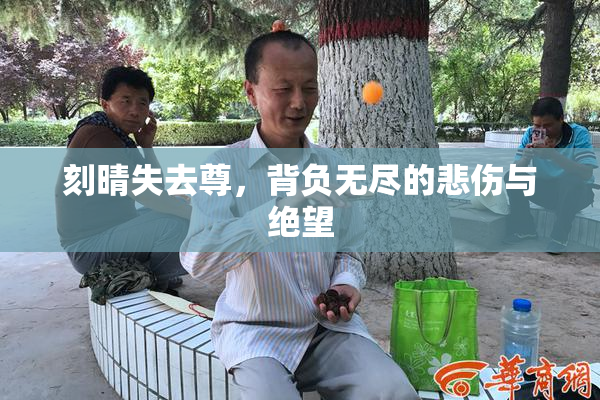 刻晴失去尊，背负无尽的悲伤与绝望