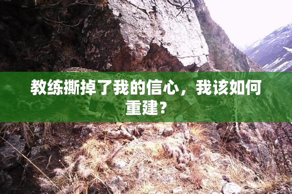 教练撕掉了我的信心，我该如何重建？