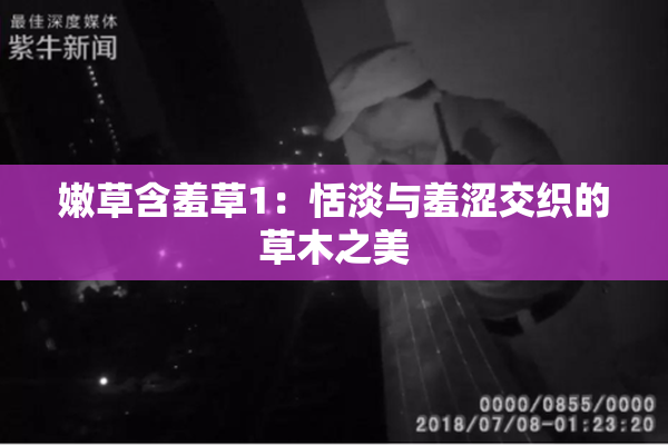 嫩草含羞草1：恬淡与羞涩交织的草木之美
