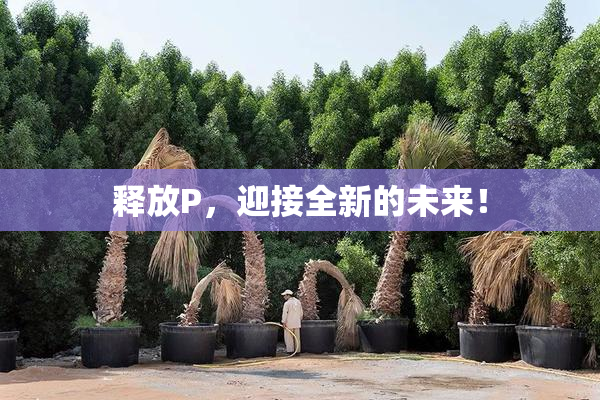 释放P，迎接全新的未来！