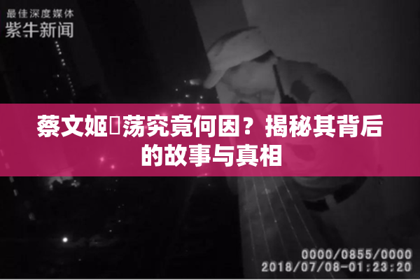 蔡文姬婬荡究竟何因？揭秘其背后的故事与真相