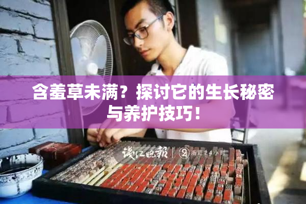 含羞草未满？探讨它的生长秘密与养护技巧！