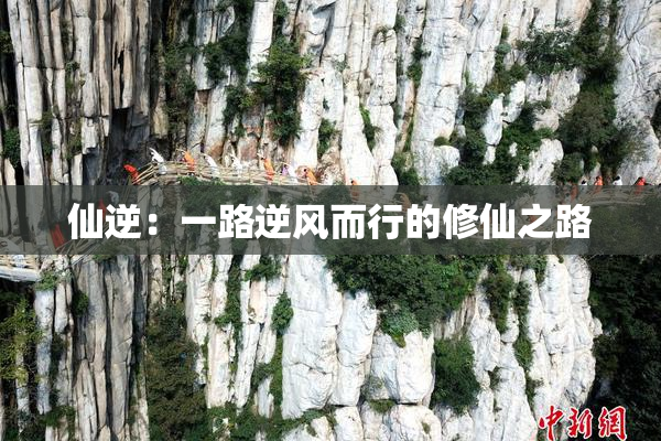 仙逆：一路逆风而行的修仙之路