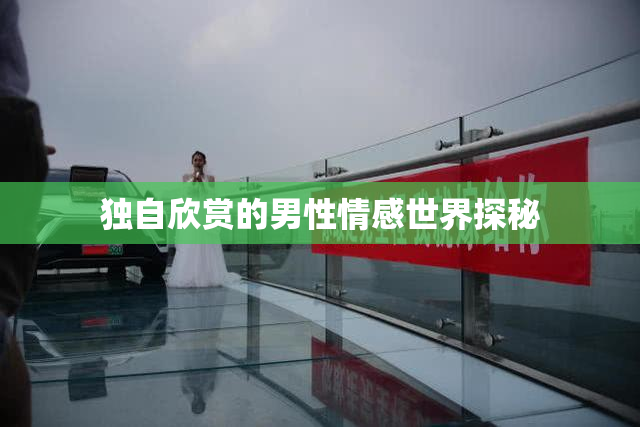 独自欣赏的男性情感世界探秘