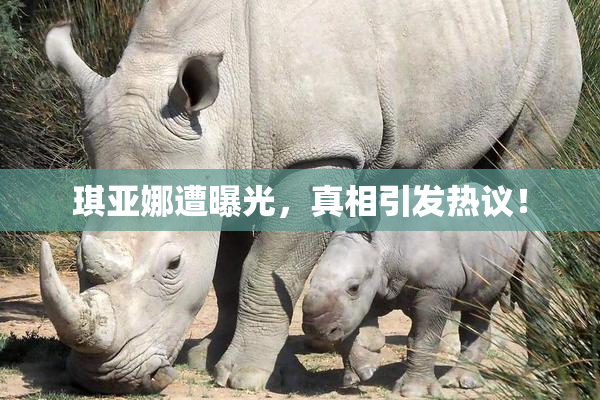 琪亚娜遭曝光，真相引发热议！