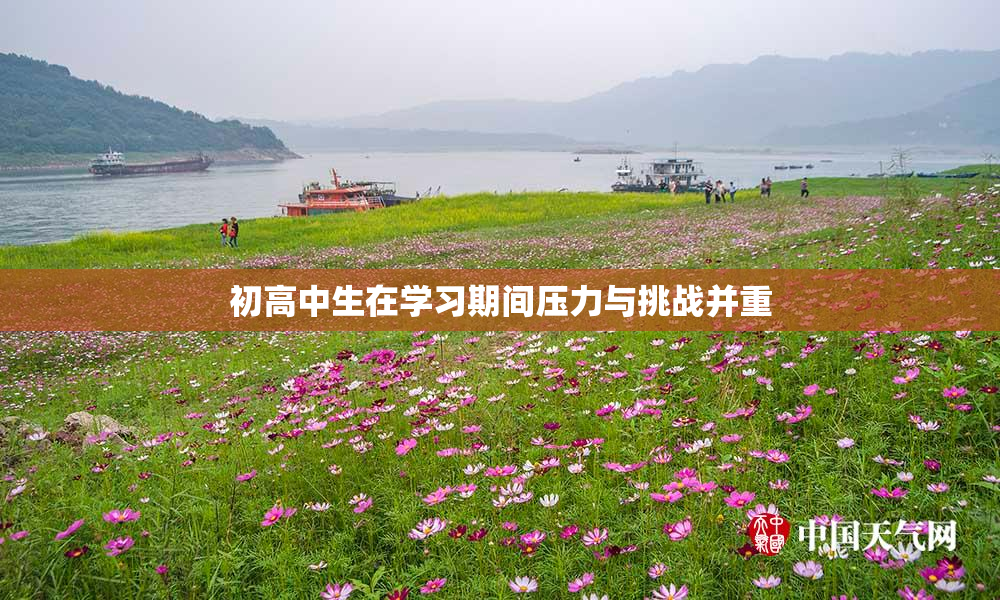 初高中生在学习期间压力与挑战并重