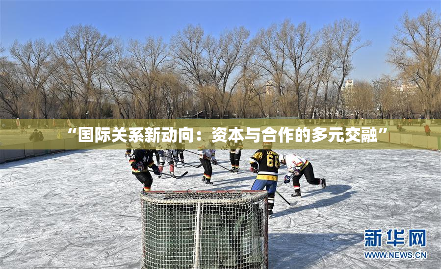 “国际关系新动向：资本与合作的多元交融”