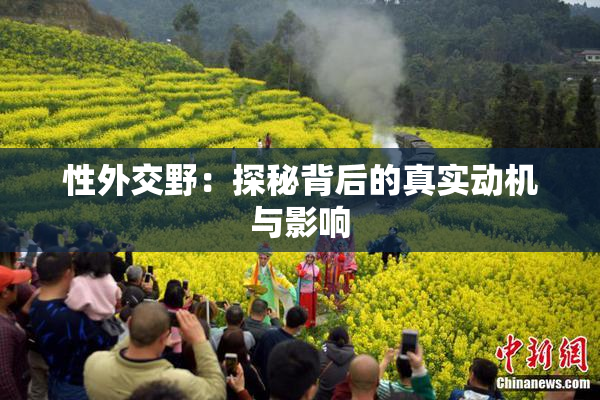 性外交野：探秘背后的真实动机与影响