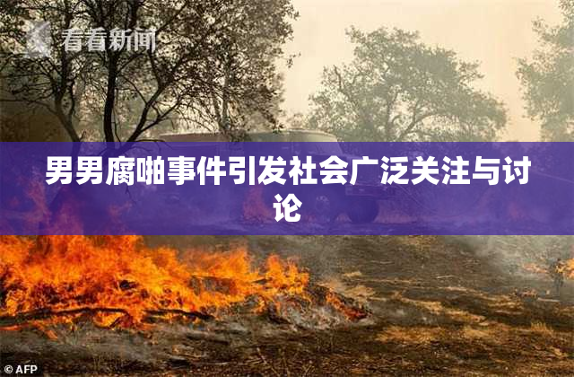 男男腐啪事件引发社会广泛关注与讨论