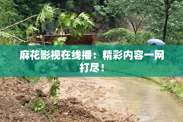 麻花影视在线播：精彩内容一网打尽！