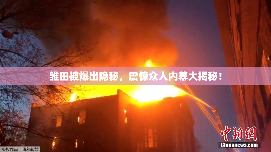 雏田被爆出隐秘，震惊众人内幕大揭秘！