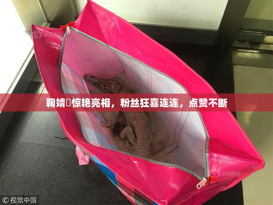 鞠婧祎惊艳亮相，粉丝狂喜连连，点赞不断