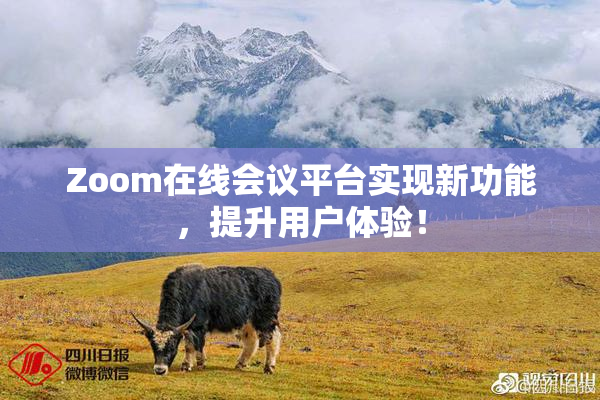 Zoom在线会议平台实现新功能，提升用户体验！