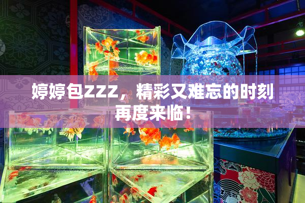 婷婷包ZZZ，精彩又难忘的时刻再度来临！