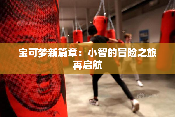 宝可梦新篇章：小智的冒险之旅再启航