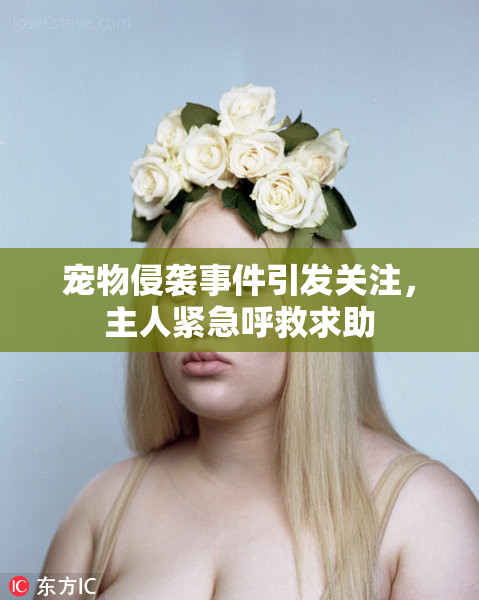 宠物侵袭事件引发关注，主人紧急呼救求助