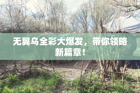 无翼乌全彩大爆发，带你领略新篇章！