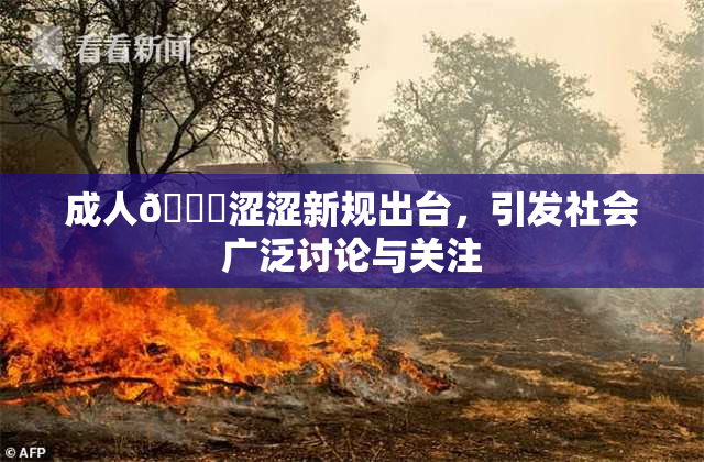 成人🔞涩涩新规出台，引发社会广泛讨论与关注