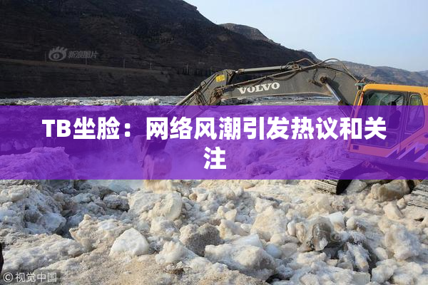 TB坐脸：网络风潮引发热议和关注