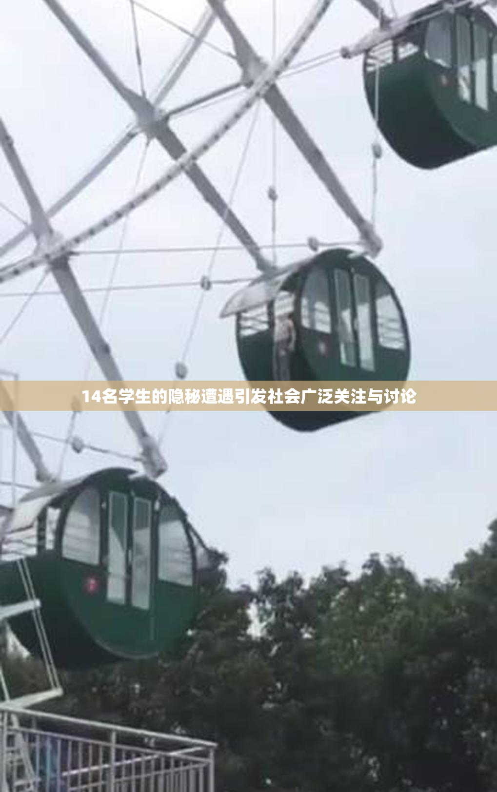 14名学生的隐秘遭遇引发社会广泛关注与讨论