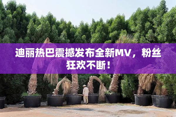 迪丽热巴震撼发布全新MV，粉丝狂欢不断！