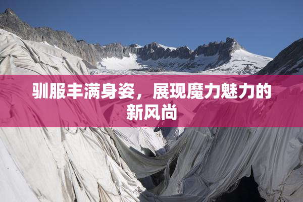 驯服丰满身姿，展现魔力魅力的新风尚