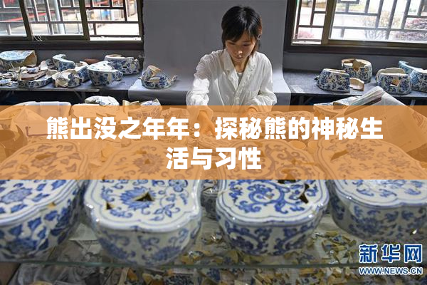 熊出没之年年：探秘熊的神秘生活与习性