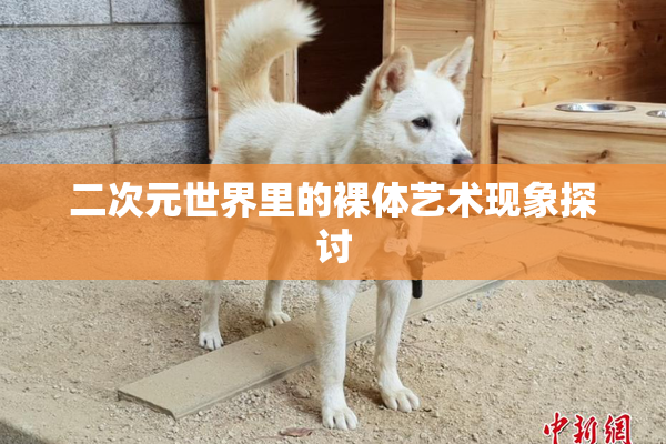 二次元世界里的裸体艺术现象探讨