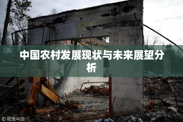 中国农村发展现状与未来展望分析